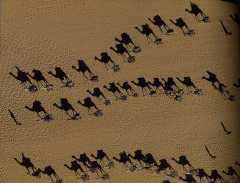 caravane au Niger.jpg
